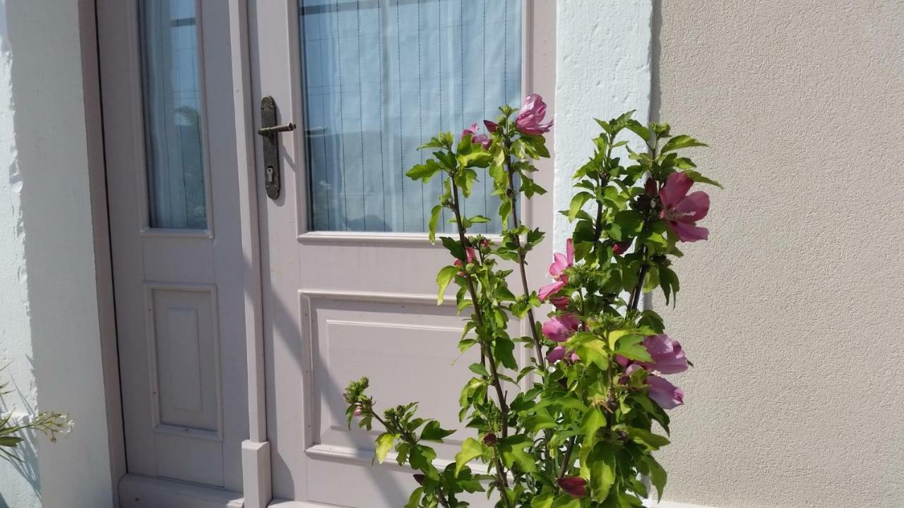 Vila Flora Сечовле Экстерьер фото